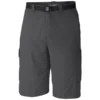 COLUMBIA Men's Silver Ridge Cargo Shorts, 10 In.