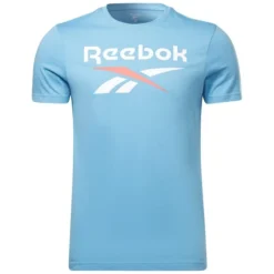 REEBOK Men's Identity Big Logo Short-Sleeve Tee