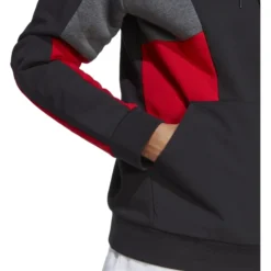 ADIDAS Men's Essentials Colorblock Hoodie -Carhar Clothing Shop 2084544 001 alt5