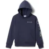 COLUMBIA Kids' Basin Park Graphic Hoodie